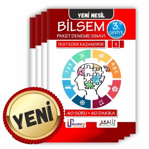 3.SEVİYE